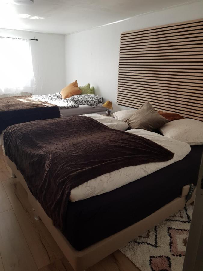 Trandafir Guesthouse Egtved Zewnętrze zdjęcie
