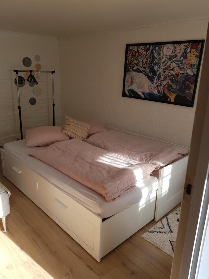 Trandafir Guesthouse Egtved Zewnętrze zdjęcie