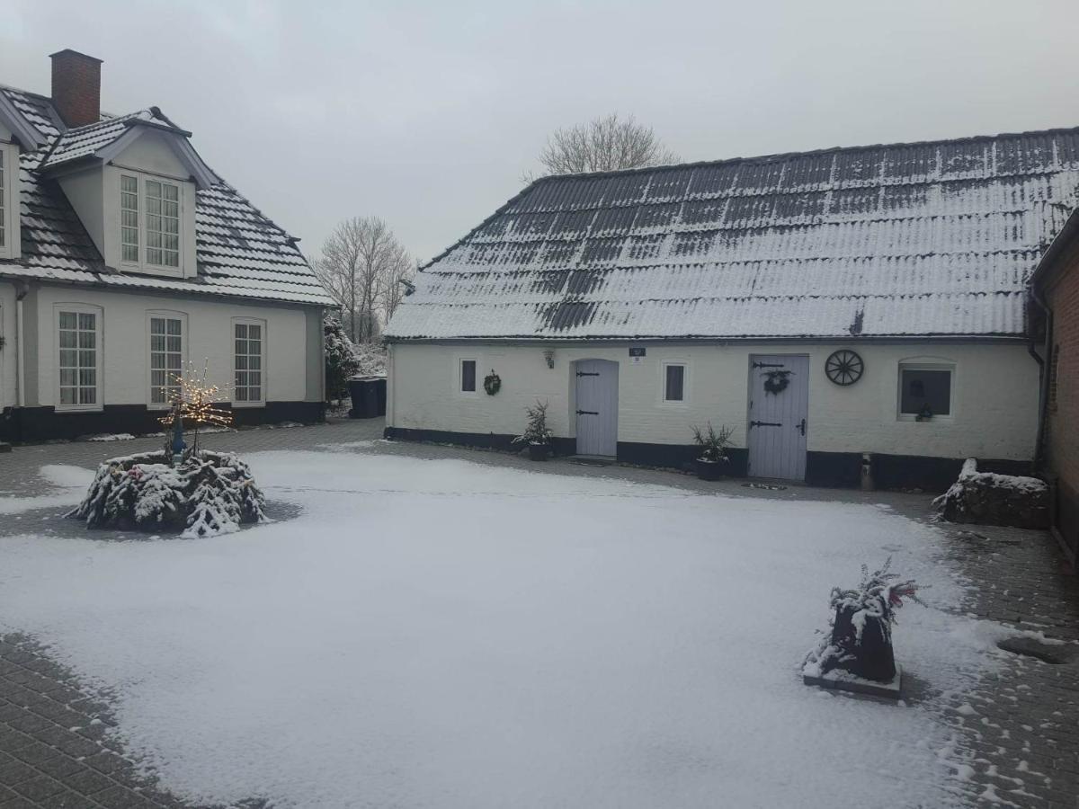 Trandafir Guesthouse Egtved Zewnętrze zdjęcie