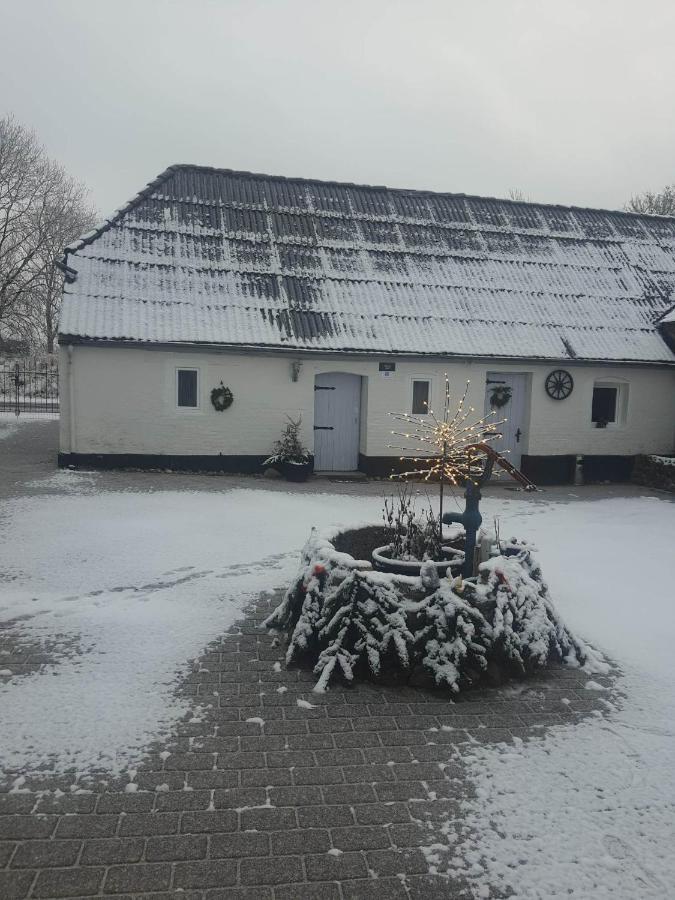 Trandafir Guesthouse Egtved Zewnętrze zdjęcie