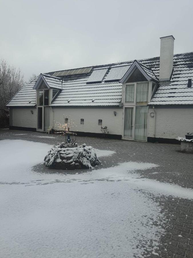 Trandafir Guesthouse Egtved Zewnętrze zdjęcie